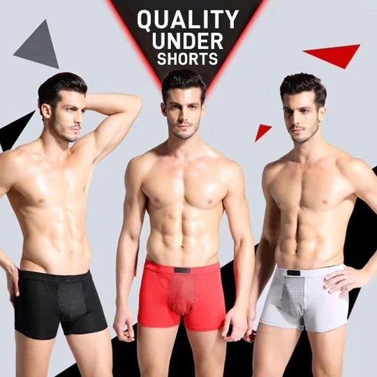 🔥HOT SALE-45%OFF🔥New Men's Magnetic Underwear